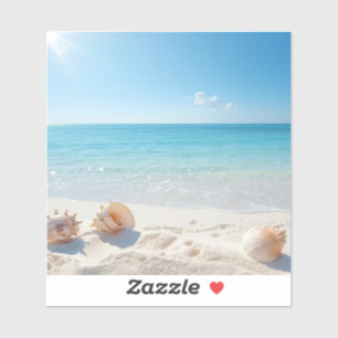 Hunt for the perfect shell