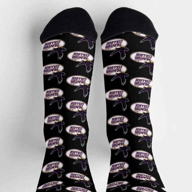 Hunter College Hawks Mascot Socks (Top)