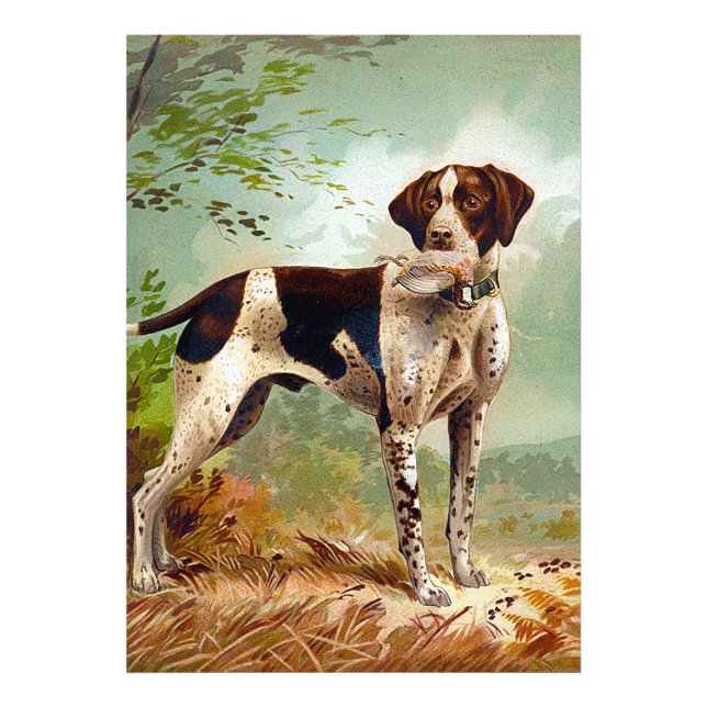 Hunter dog with bird in mouth photo print (Front)