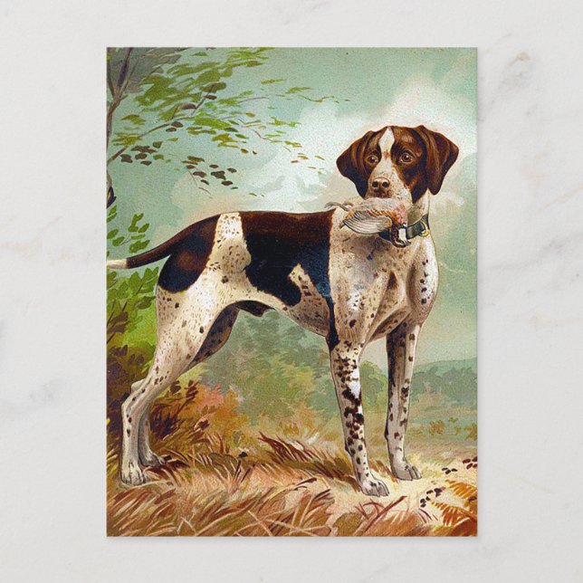 Hunter dog with bird in mouth postcard (Front)