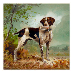 Hunter dog with bird in mouth poster