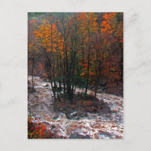 Hunter Mountain Fast Water Postcard