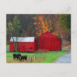 Hunter Mountain Postcard