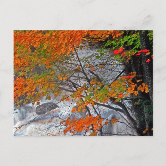 Hunter Mountain  Stream Postcard (Front)