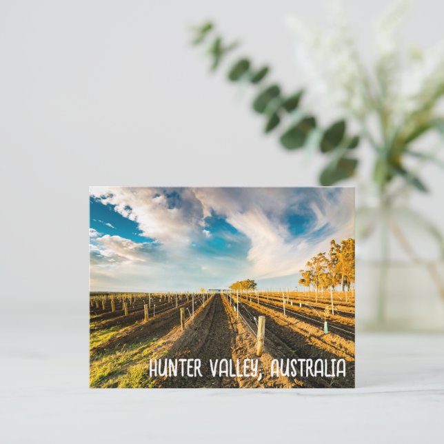Hunter Valley, Australia  Postcard (Standing Front)