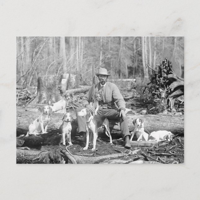 Hunter with his Hounds, 1897 Postcard (Front)