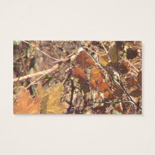 Hunter's Camo Camouflage Painting Customise This!