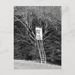 Hunter's Chair Postcard