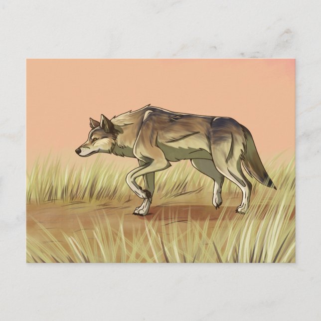 Hunting at Sunrise Postcard (Front)