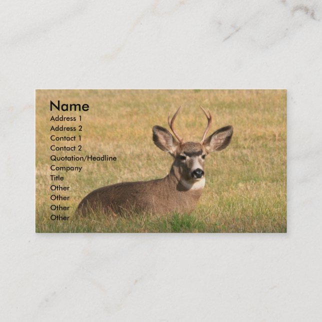 hunting Business Cards (Front)