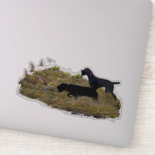 Hunting Chukar partridge 