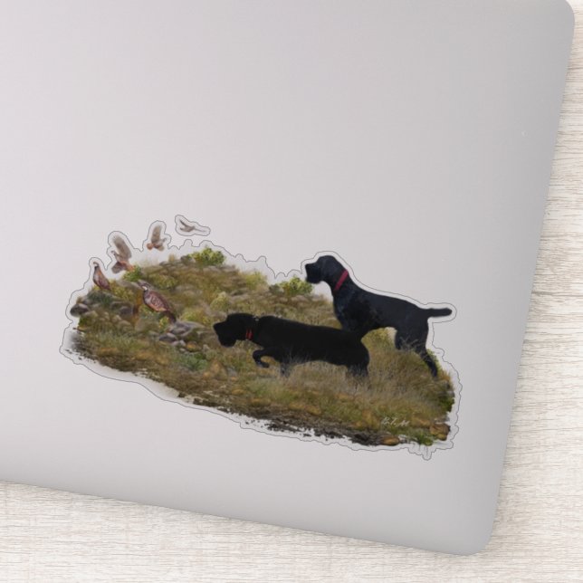 Hunting Chukar partridge  (Detail)