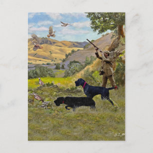 Hunting Chukar partridge  Postcard