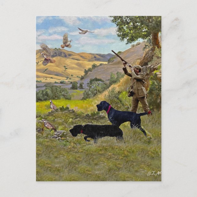 Hunting Chukar partridge  Postcard (Front)