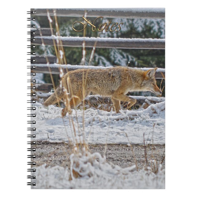 Hunting Coyote Wildlife-supporter Notebook (Front)
