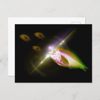 Hunting Dinner X-Ray Fish 4 Postcard