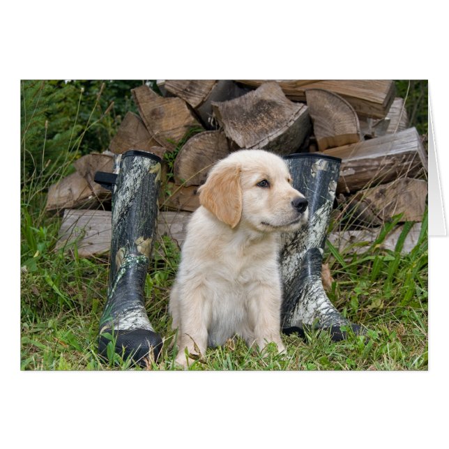 Hunting Dog (Front Horizontal)