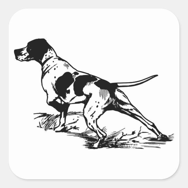 Hunting Dog Square Sticker (Front)
