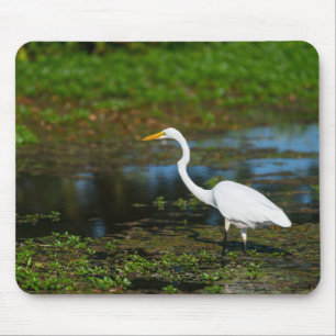 Hunting Egret Mouse Pad