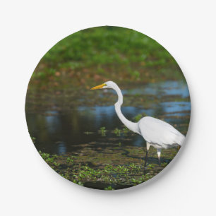 Hunting Egret Paper Plate