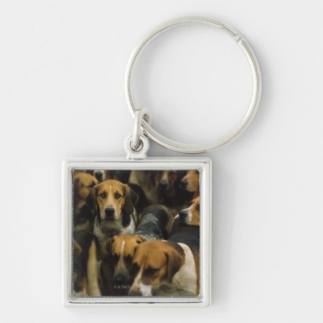 Hunting foxhounds, Galway Blazers, Ireland Key Ring (Front)