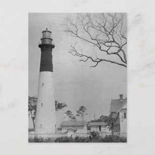 Hunting Island Lighthouse Postcard