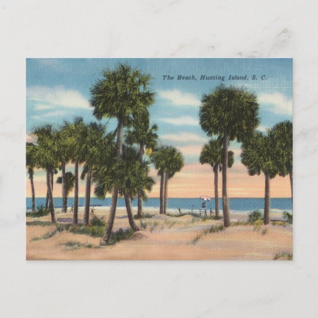 Hunting Island, South Carolina Postcard (Front)
