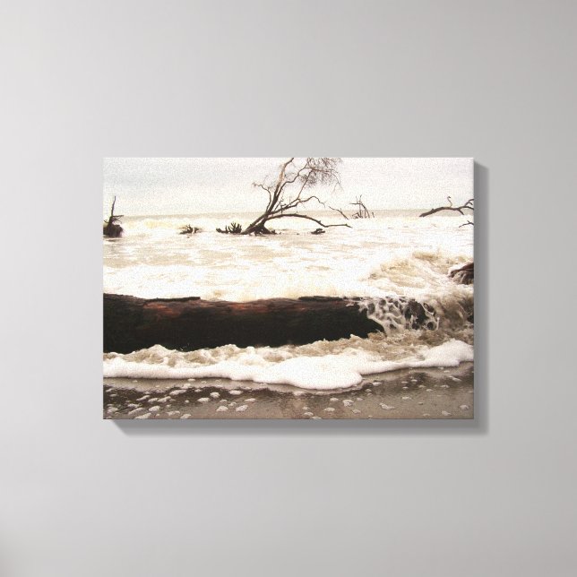 Hunting Island State Park Canvas Print (Front)