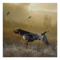 Hunting season , German shorthaired pointer Tapest