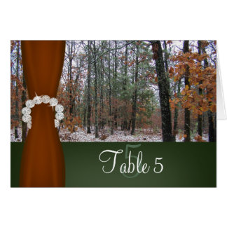 Hunting Theme Winter Scene Camo Table Number Cards