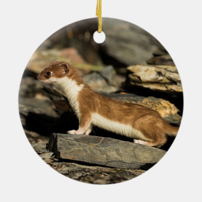 Hunting Weasel Ceramic Tree Decoration (Back)