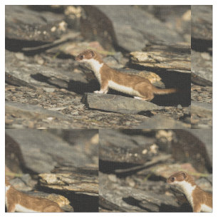 Hunting Weasel Fabric