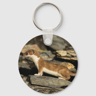 Hunting Weasel Key Ring