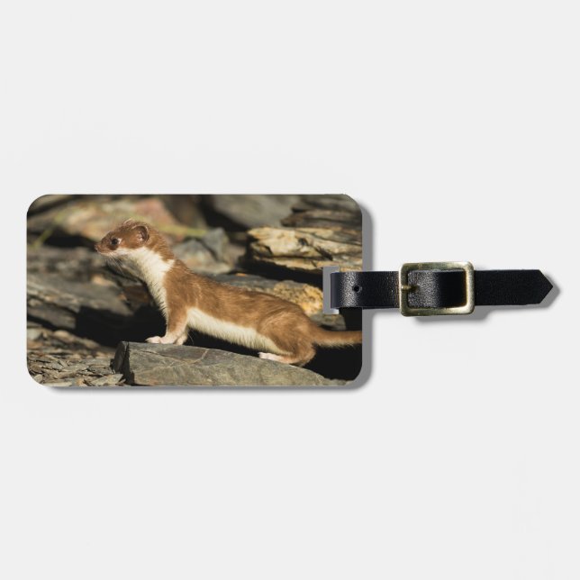 Hunting Weasel Luggage Tag (Front Horizontal)