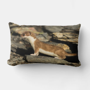 Hunting Weasel Lumbar Cushion