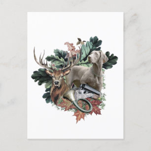 Hunting with a Weimaraner, "Grey Ghost" Postcard