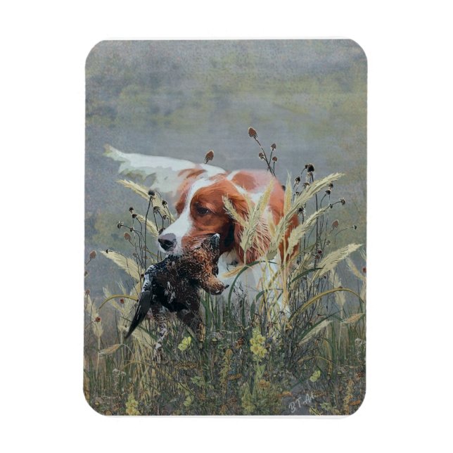 Hunting with Epagneul Breton   Magnet (Vertical)