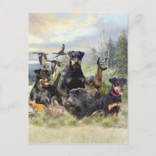 Hunting with Jagdterriers , Art  Holiday Postcard