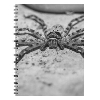 Huntsman Spider Notebook