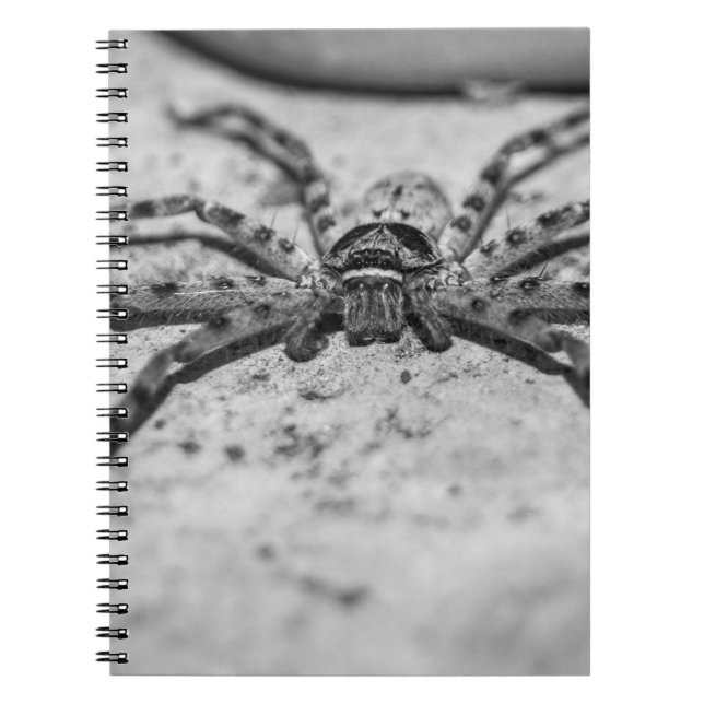 Huntsman Spider Notebook (Front)