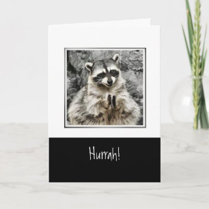 Hurrah!  Cute Racoon Clapping Funny Animal Art Holiday Card