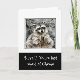 Hurrah!  Cute Racoon Clapping Funny Last Chemo Holiday Card