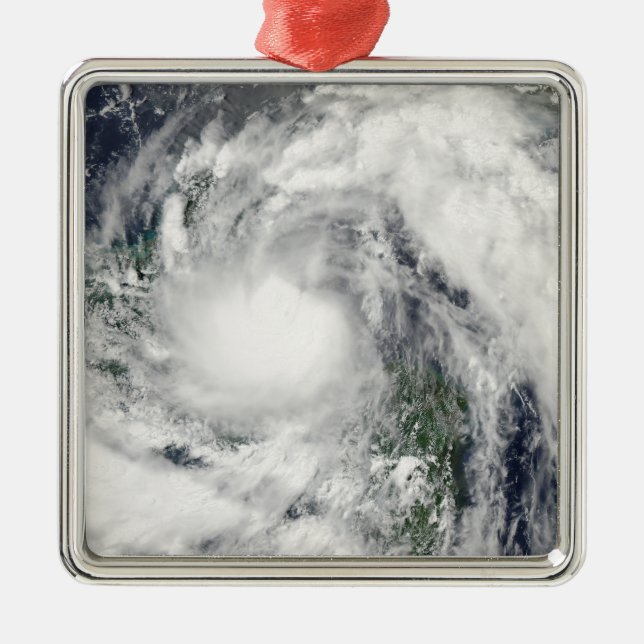 Hurricane Alex Metal Tree Decoration (Front)