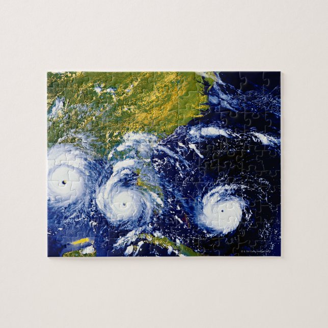 Hurricane Andrew Jigsaw Puzzle (Horizontal)