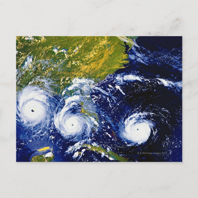 Hurricane Andrew Postcard (Front)