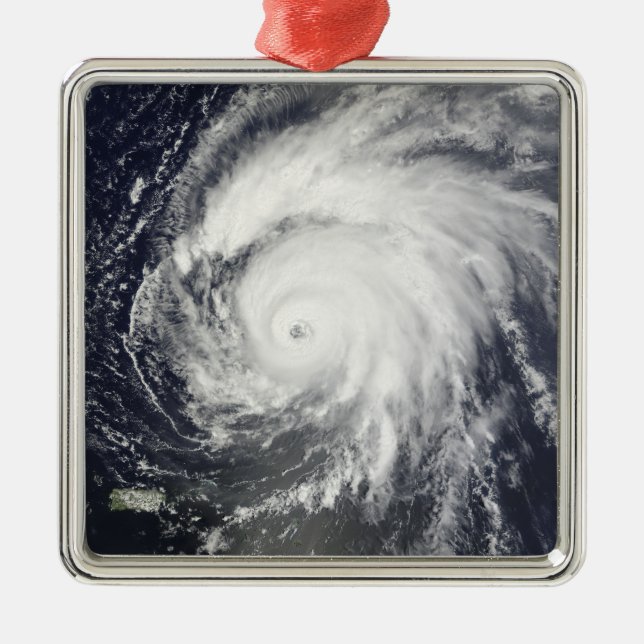 Hurricane Bill Metal Tree Decoration (Front)