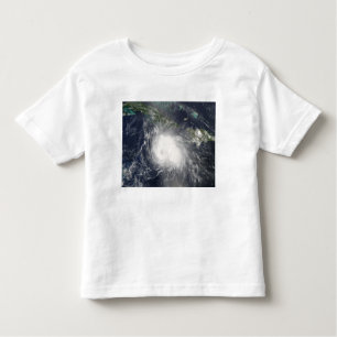 Hurricane Charley Toddler T-Shirt