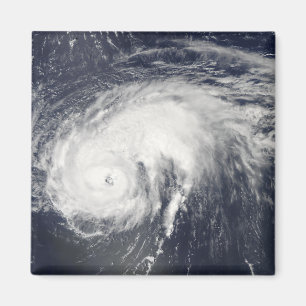 Hurricane Danielle Magnet