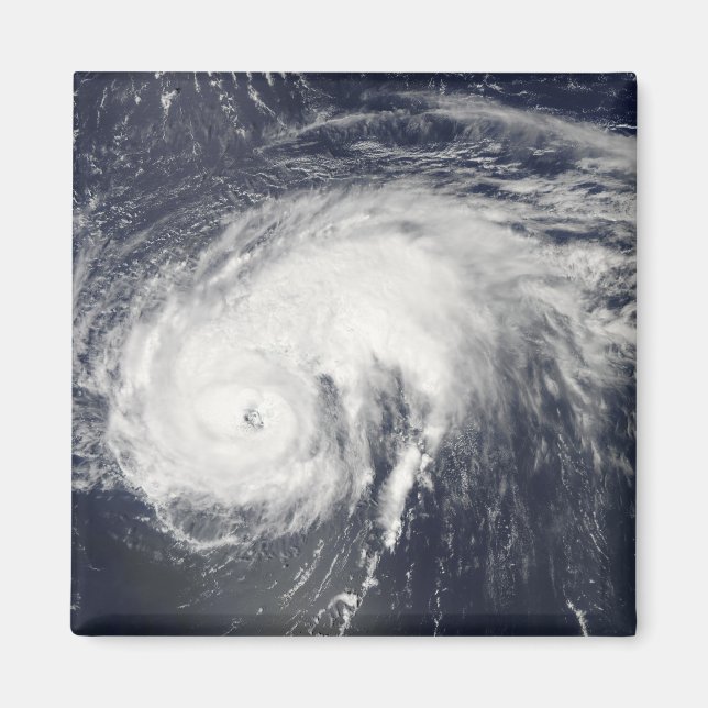 Hurricane Danielle Magnet (Front)