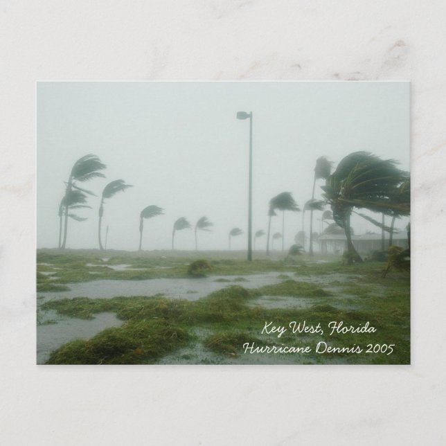 Hurricane Dennis 2005 Key West Florida Postcard (Front)